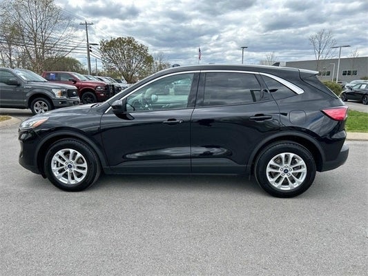 2020 Ford Escape SE in Knoxville, TN - Ted Russell Nissan