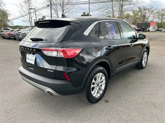 2020 Ford Escape SE in Knoxville, TN - Ted Russell Nissan
