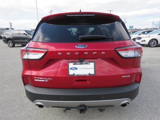 2022 Ford Escape Titanium in Knoxville, TN - Ted Russell Nissan