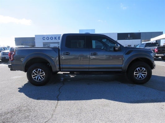 2017 Ford F-150 Raptor in Knoxville, TN - Ted Russell Nissan