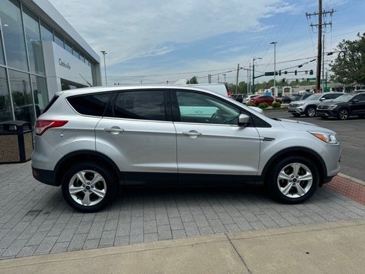 2015 Ford Escape Titanium in Knoxville, TN - Ted Russell Nissan