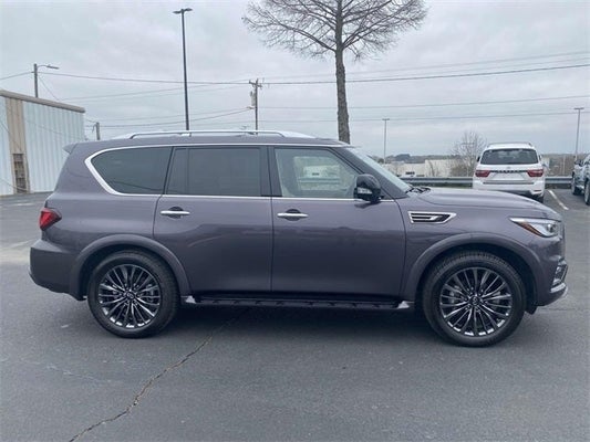 2023 INFINITI QX80 PREMIUM SELECT in Knoxville, TN - Ted Russell Nissan