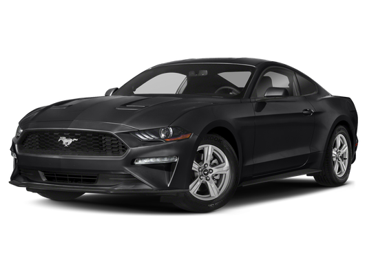 2021 Ford Mustang EcoBoost in Knoxville, TN - Ted Russell Nissan
