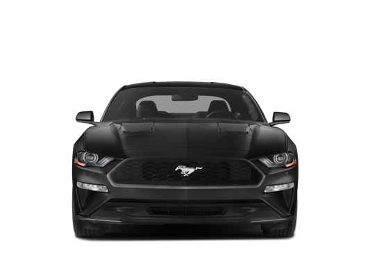 2021 Ford Mustang EcoBoost in Knoxville, TN - Ted Russell Nissan
