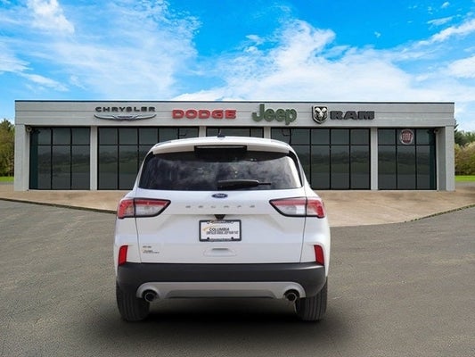 2022 Ford Escape SE in Knoxville, TN - Ted Russell Nissan