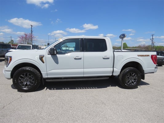 2023 Ford F-150 Tremor in Knoxville, TN - Ted Russell Nissan